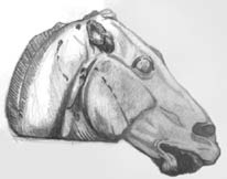 Horse Roman Sculpture sketch