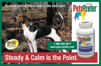 PetsPrefer calming ad