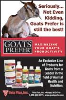 Goats Prefer ad