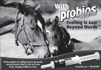 Probios equine gel grayscale ad