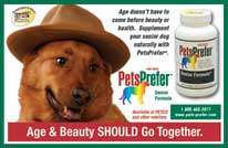 PetsPrefer senior dog ad 1