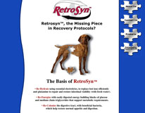RetroSyn website